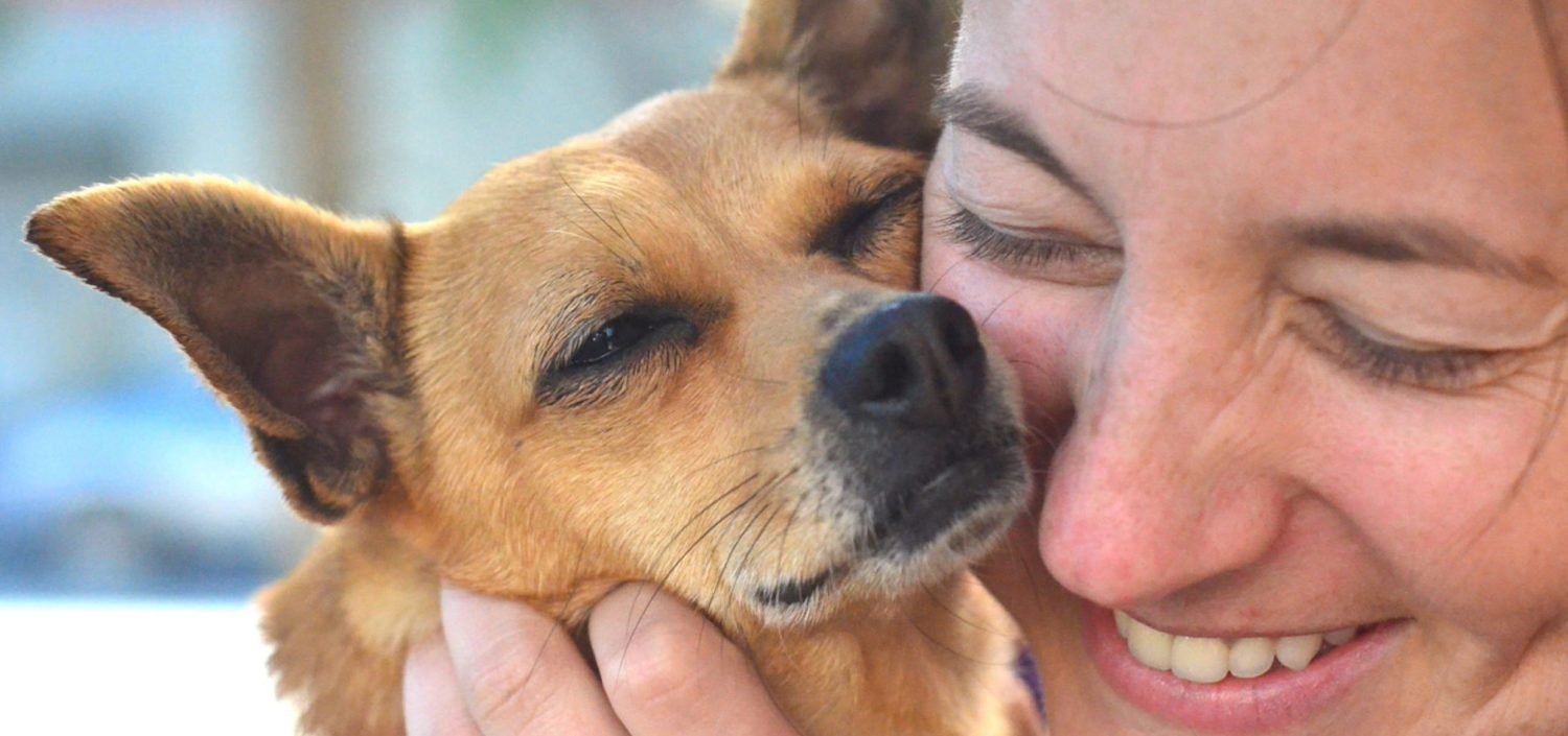 California's first Adopt-A-Pet-Day happening in 2024 to promote pet adoptions in San Diego