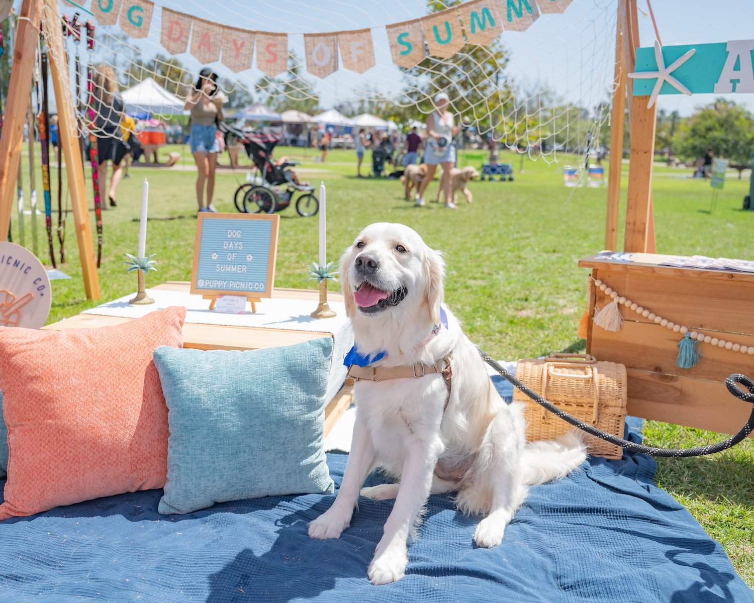 Things to Do in San Diego This Weekend July 18–21 including Cardiff Dog Days of Summer event for dogs and dog owners