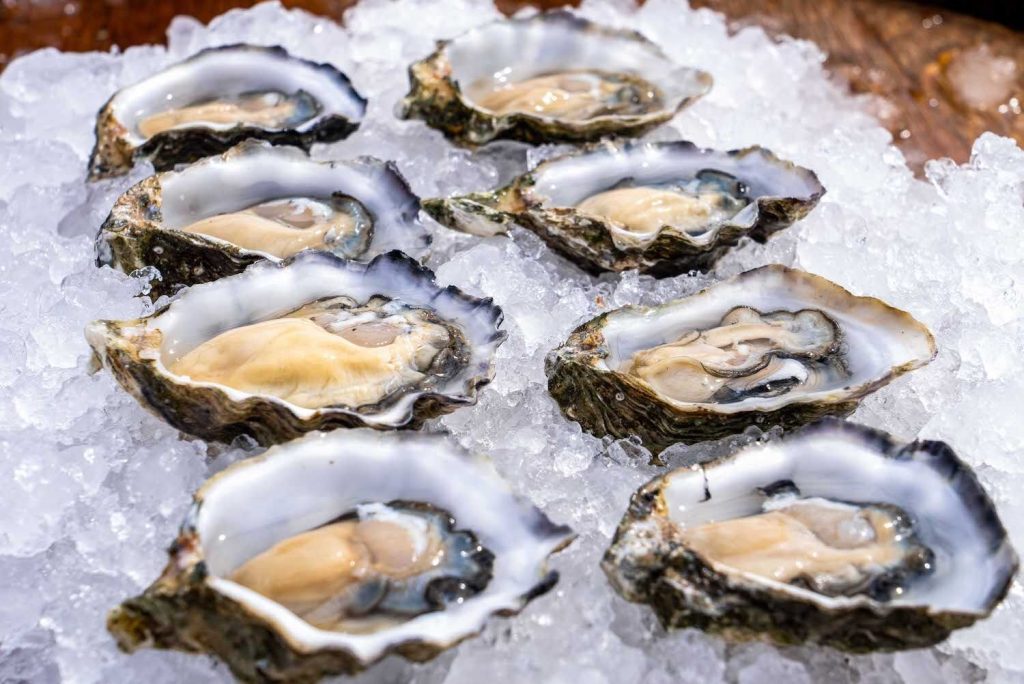 Where to get oysters in San Diego featuring the Carlsbad Aquafarm