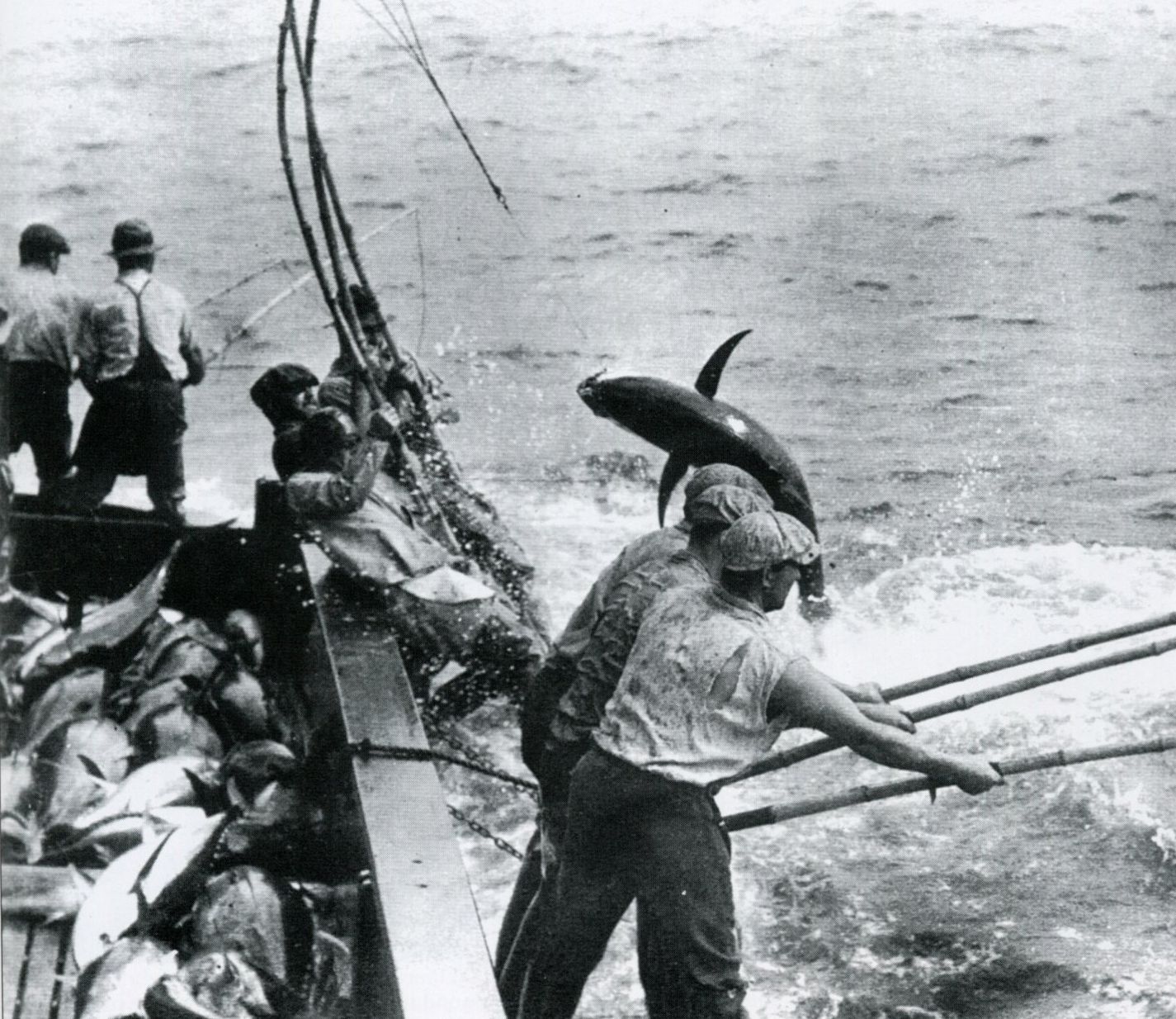 Historical film photo of San Diego fisherman in Little Italy's capital of tuna