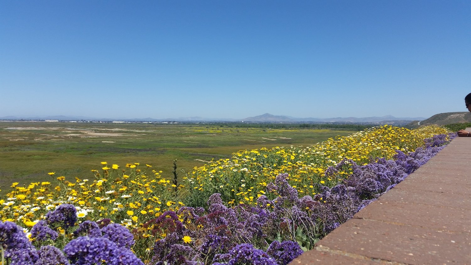 New California State Library Parks Pass allowing access to the state's parks and reserves featuring Border Field State Park in San Diego