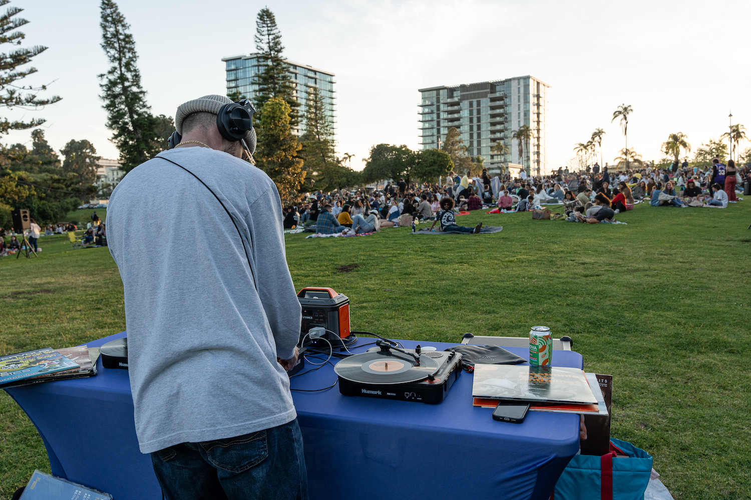 Free activities and things to do in San Diego featuring the San Diego Winyl Club weekly picnic and music event