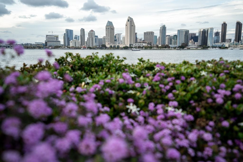 25 of the Best Free Things to Do in San Diego