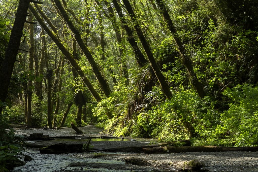 11 of California's Most Underrated Natural Places