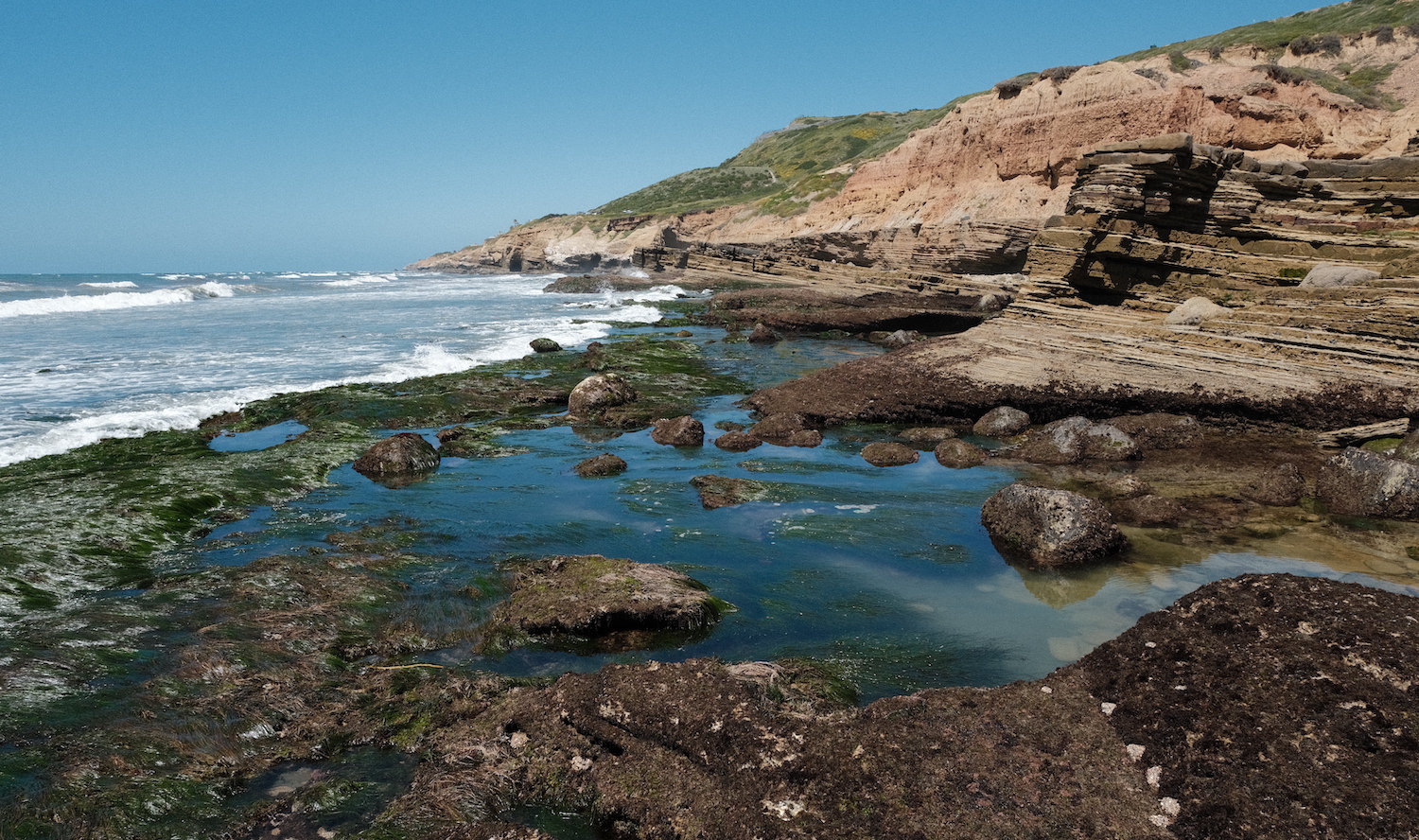 Things to do in San Diego with the tide pools at the Cabrillo Monument in Point Loma