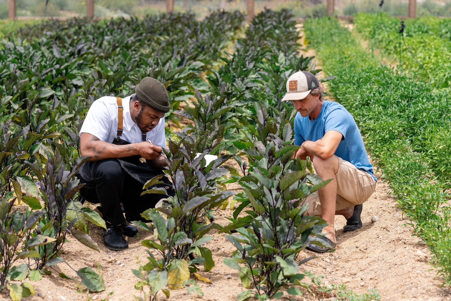 chef de cuisine Kelston Moore of new Encinitas sourcing produce for his farm-to-table restaurant Haven Farm+Table opening at Fox Point Farms soon