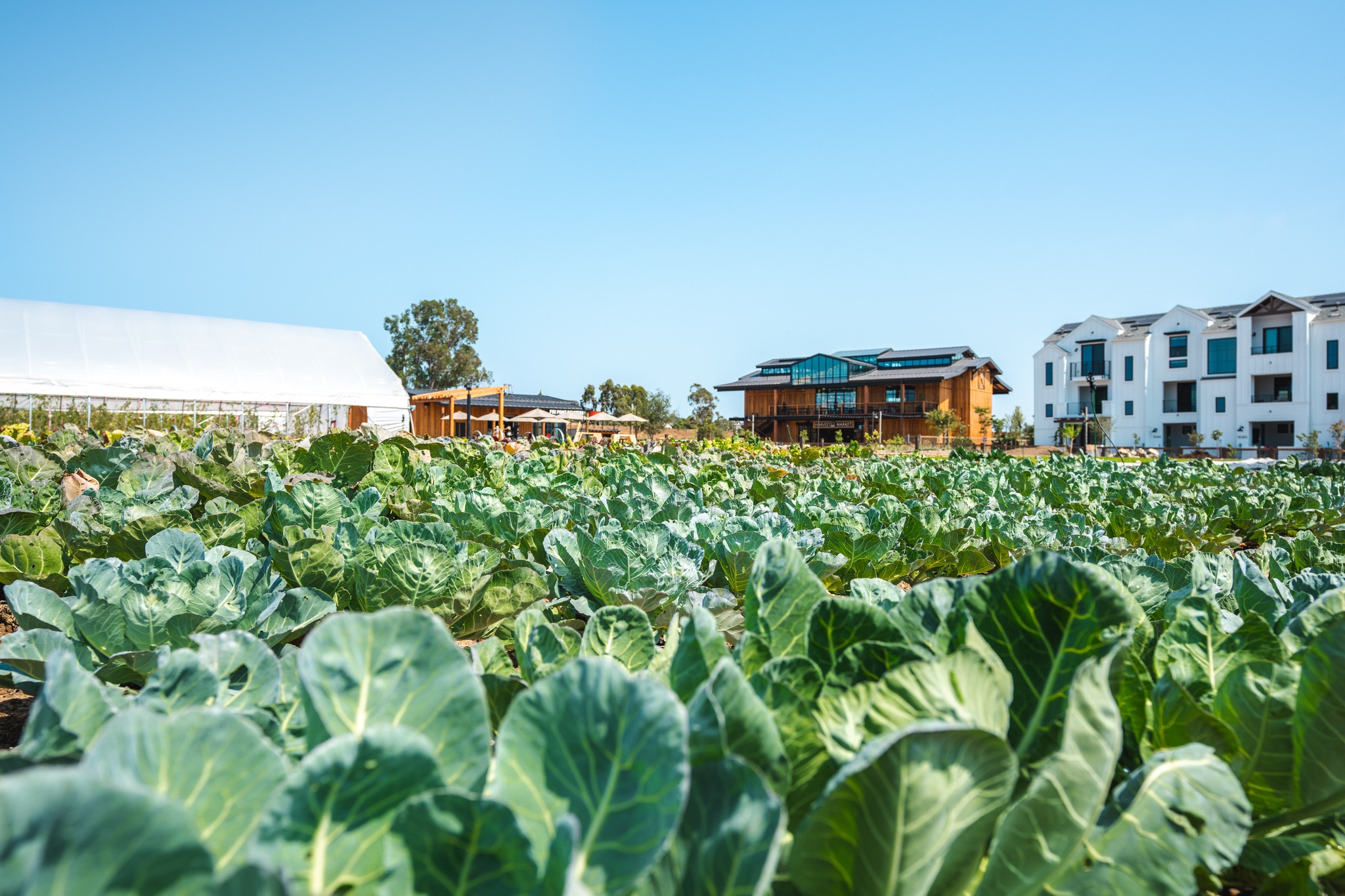 Exterior of Fox Point Farms in Encinitas and new farm-to-table restaurant Haven Farm+Table