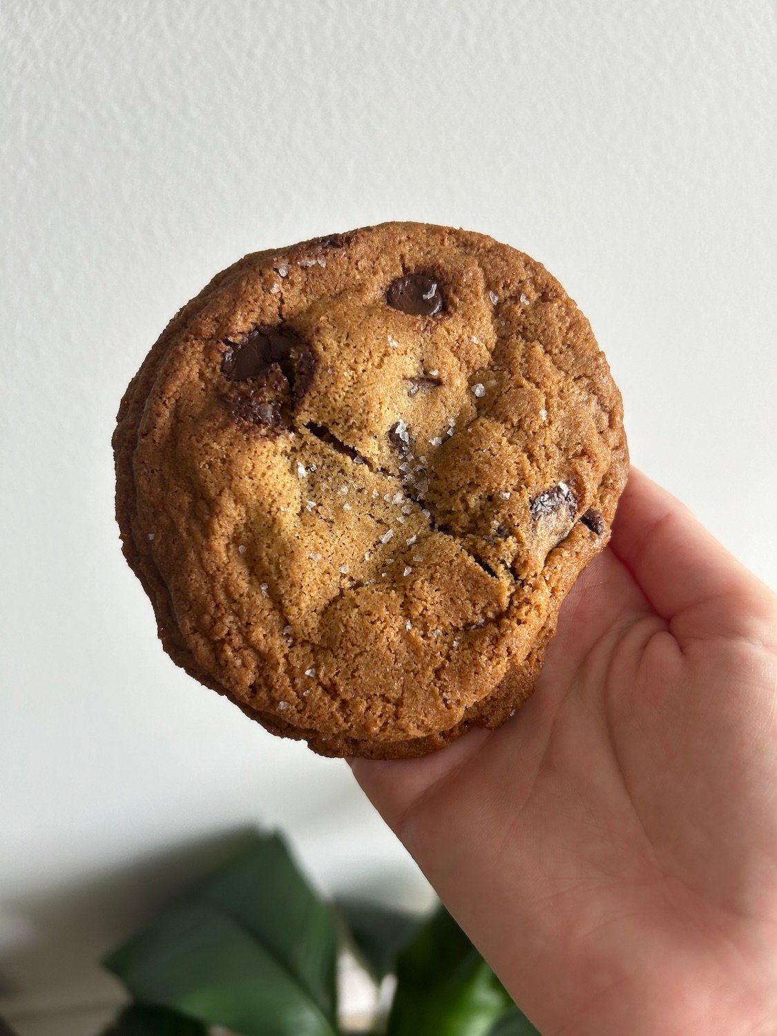 The best food and drinks in San Diego to try featuring Chocolate Chip Cookie with Walnuts from Pop Pie Co.