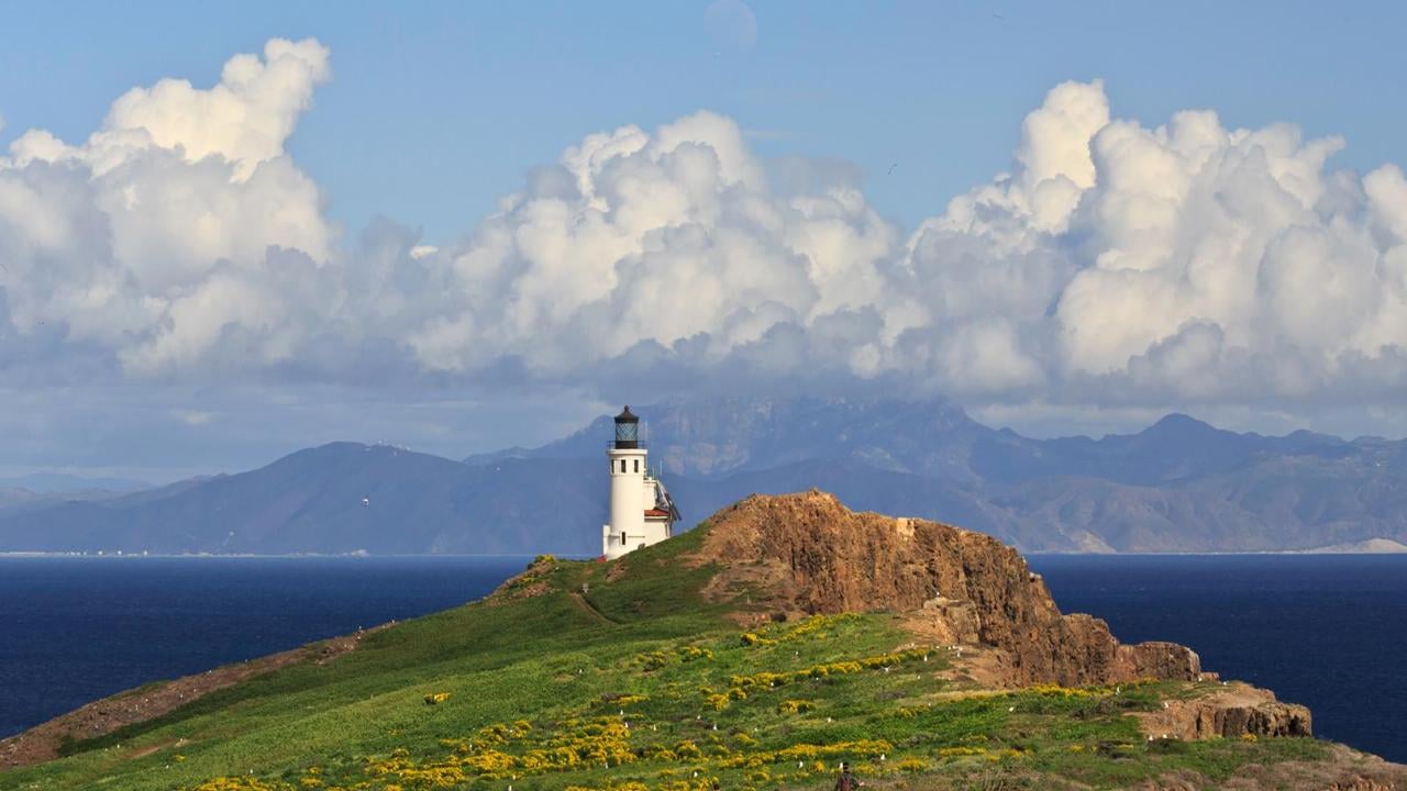 Activities in California with Channel Islands National Park 