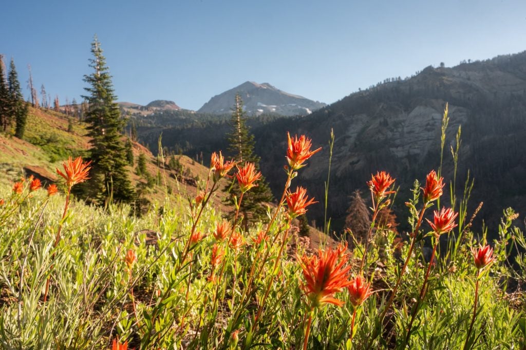 Lassen Volcanic National Park is one of the most underrated places in California.