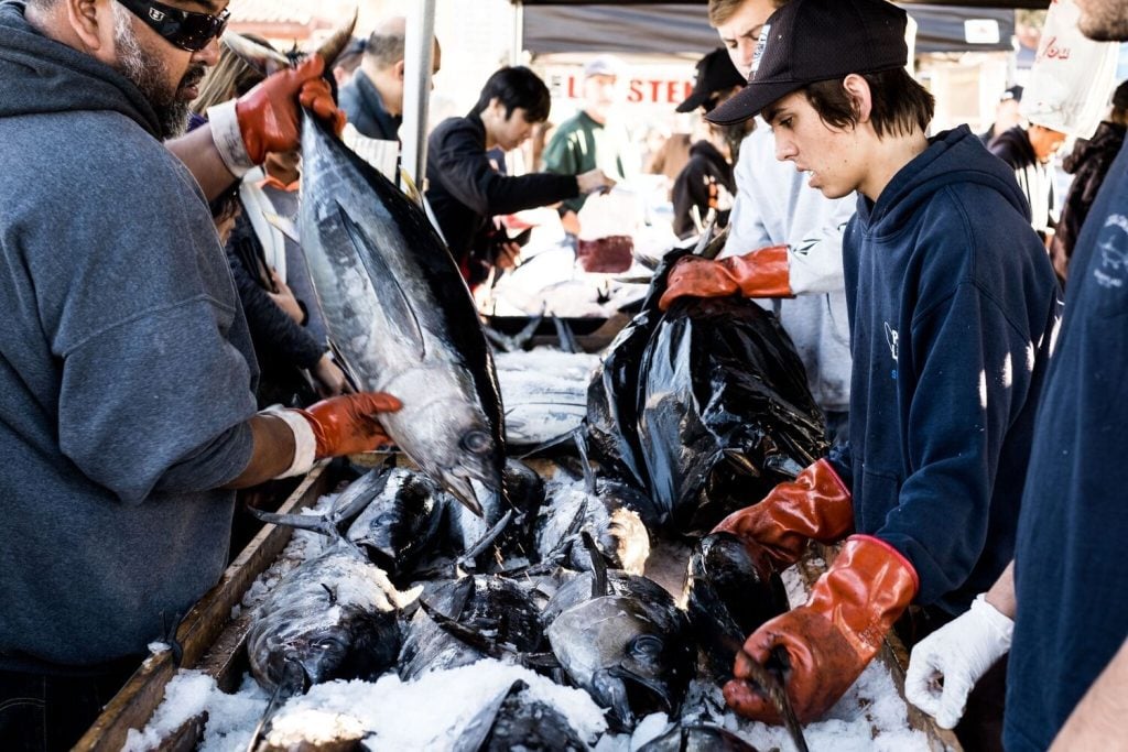 The Tuna Harbor Dockside Market at Seaport Village where San Diego nonprofit Fish to Families operates