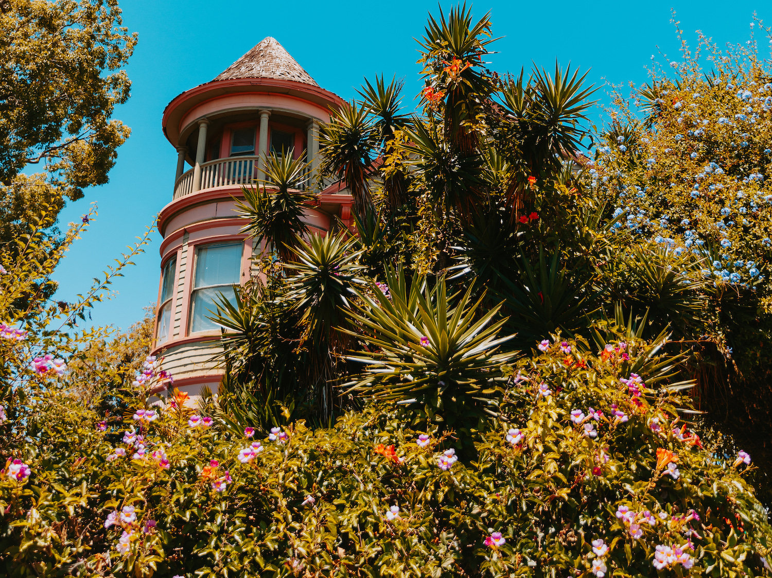 Things to do in Golden, Hill San Diego featuring historic victorian houses