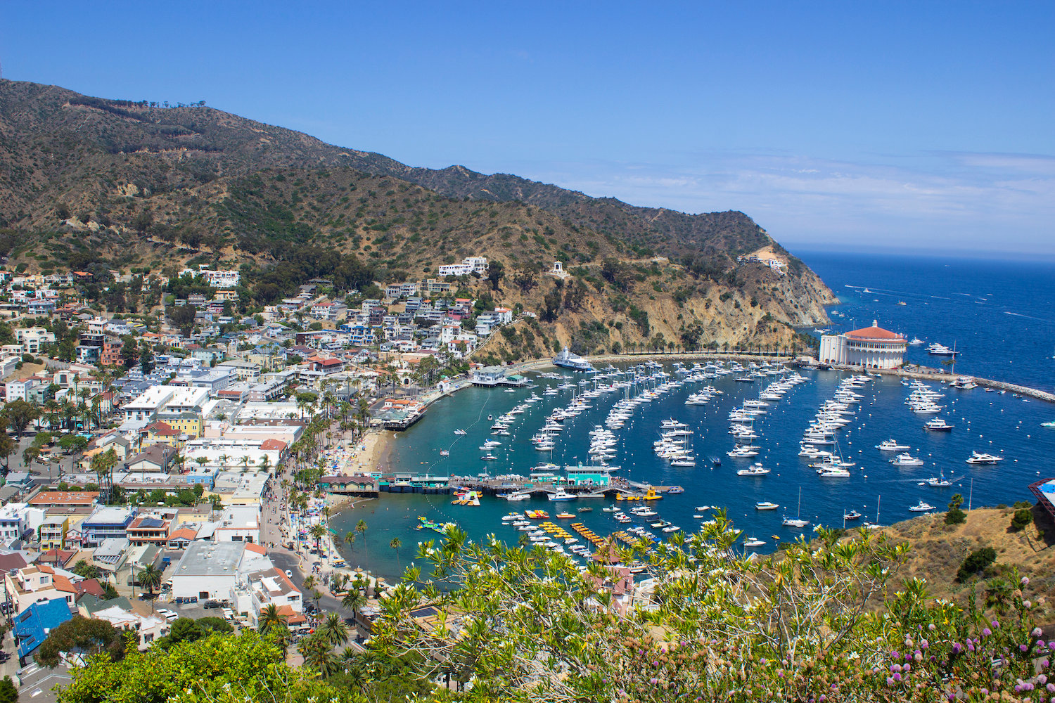 Aerial view of Catalina Islands city of Avalon