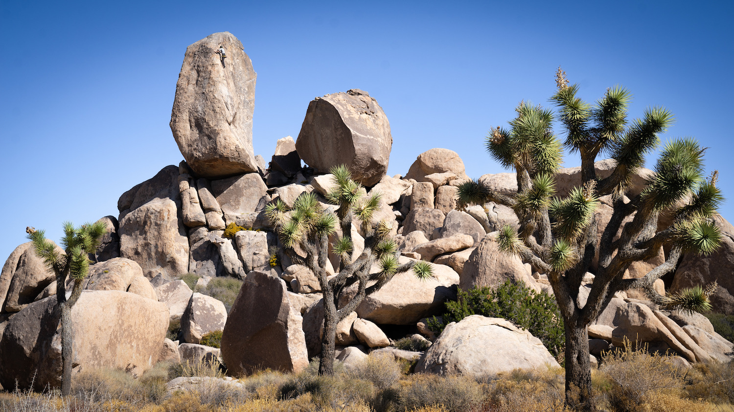 Guide to visiting California's national parks featuring climbers at Joshua Tree national park