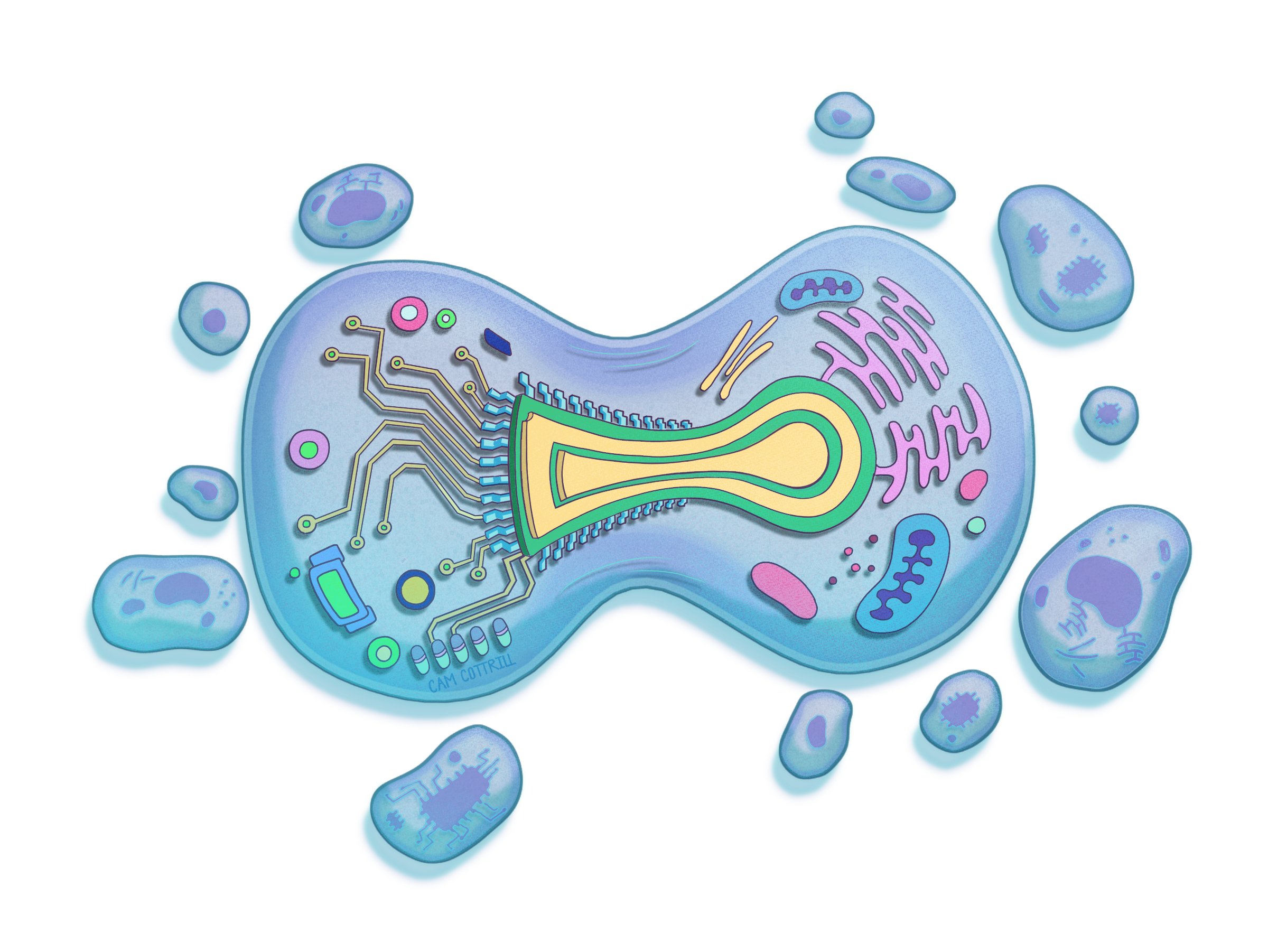 Illustration of AI in healthcare of a cell with motherboard parts and circuits inside by artist Cam Cottrill