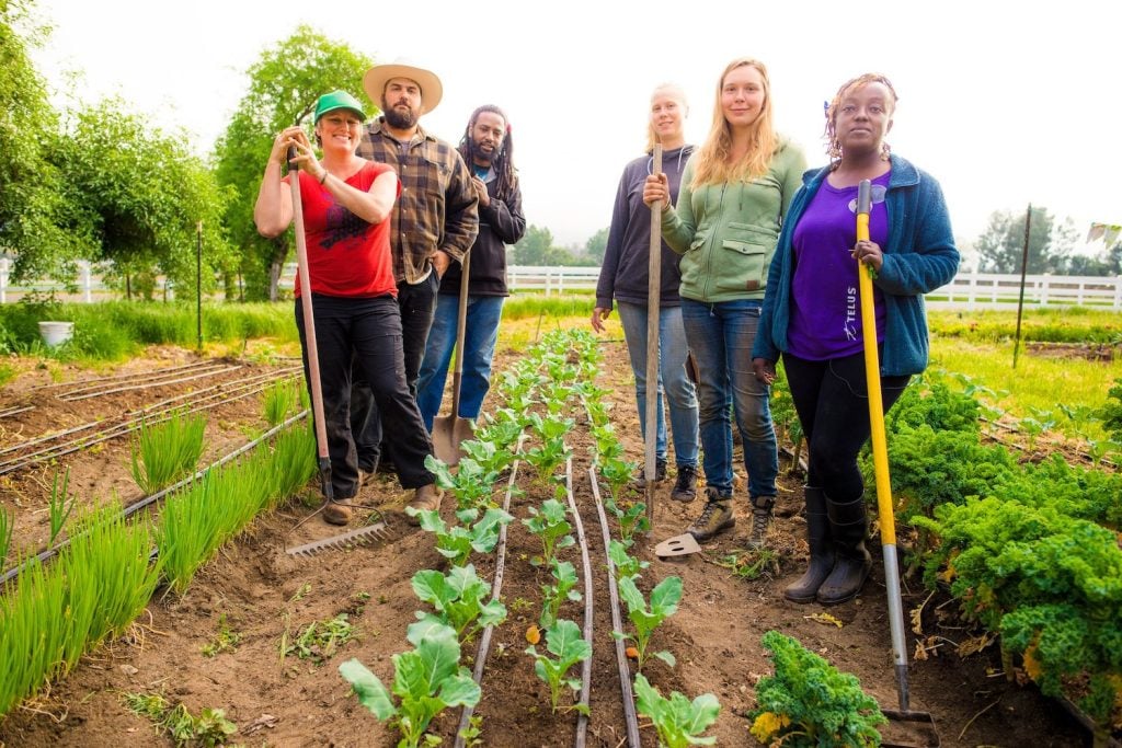 Regenerative farming nonprofit Zero Foodprint featuring farmers in a field 