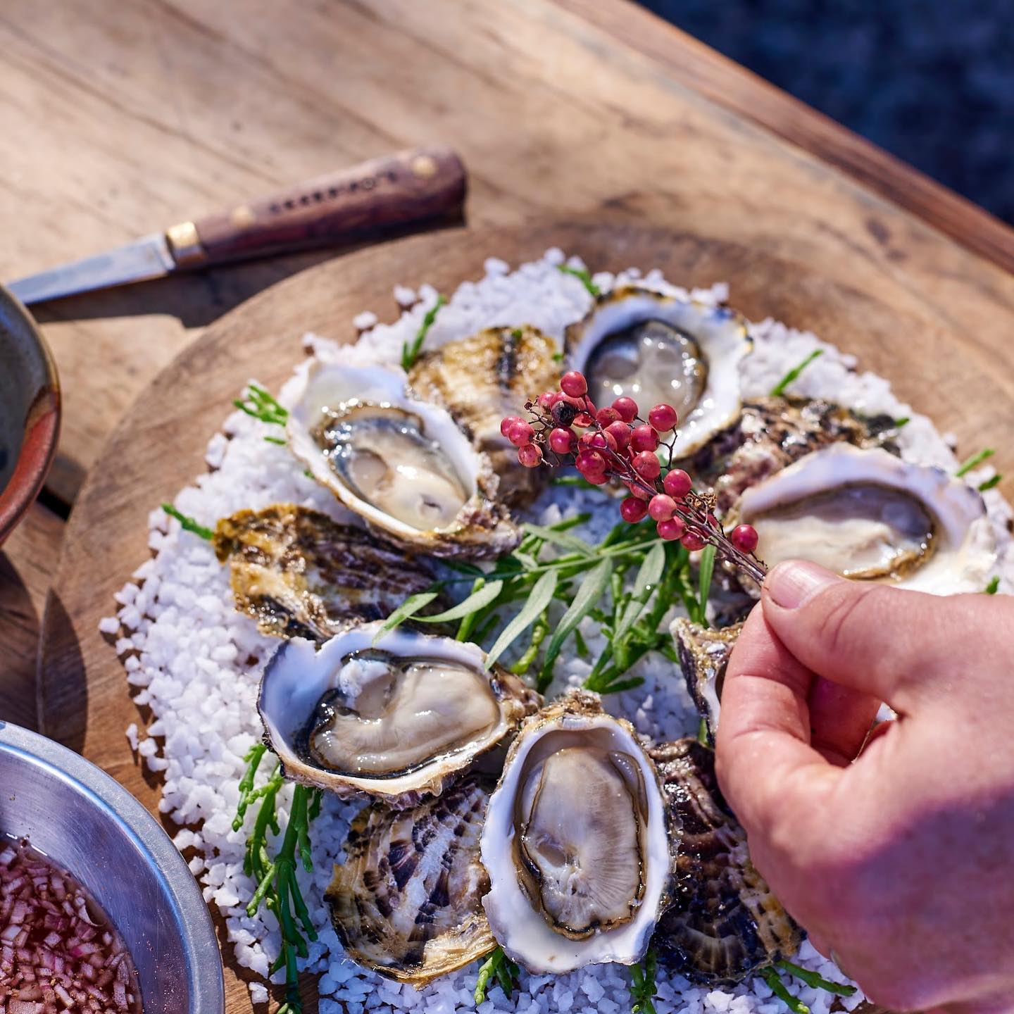 Photo of oysters by photographer  Chris Rov Costa of the new cookbook San Diego Seafood: Then and Now