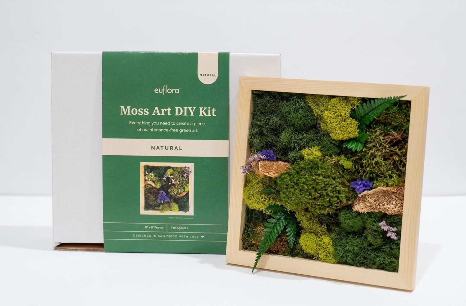 San Diego gifts to buy this holiday season featuring a Moss Art DIY Kit from Euflora