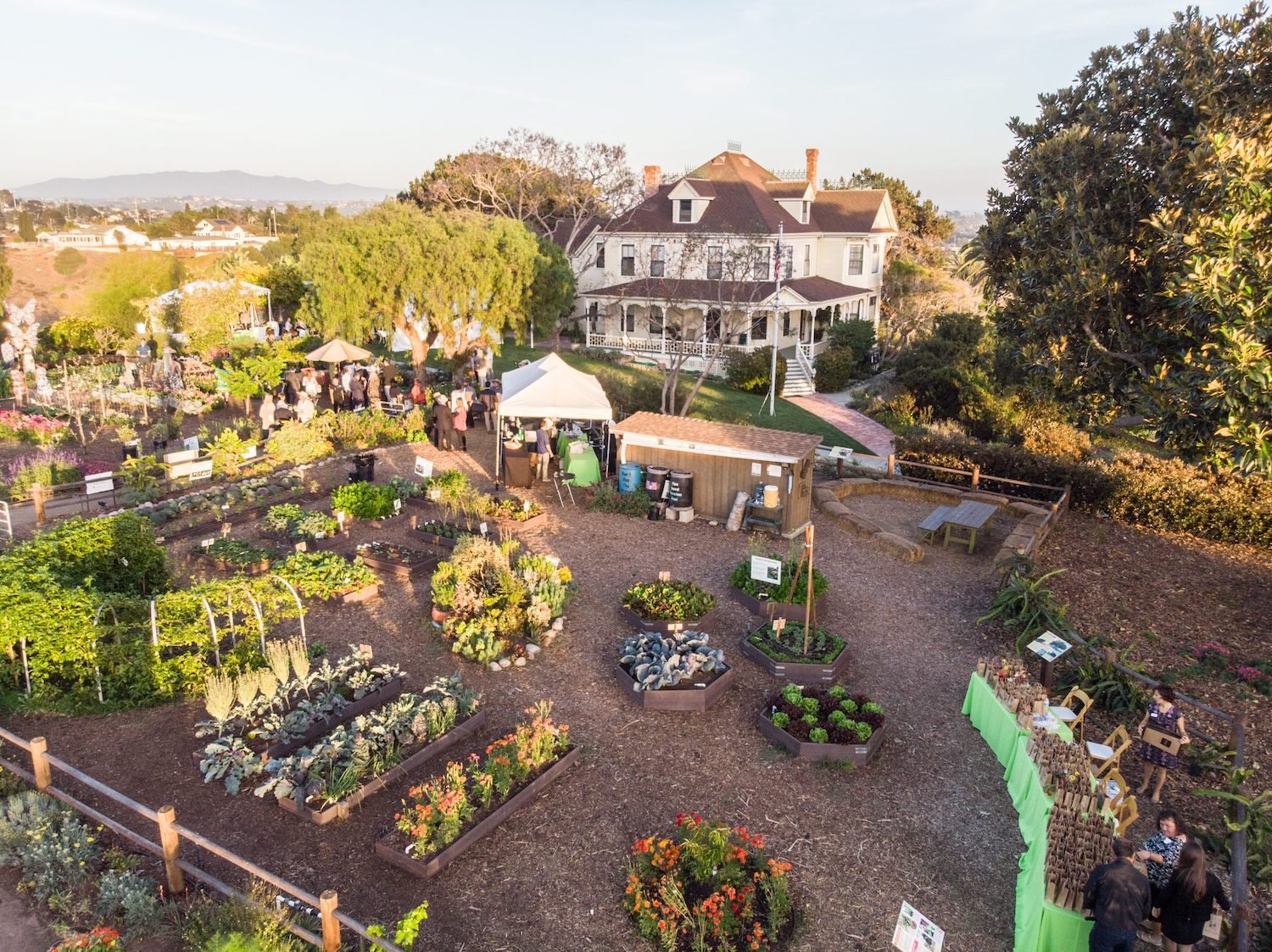 Aerial view of San Diego nonprofit and farm Olivewood Gardens in National City