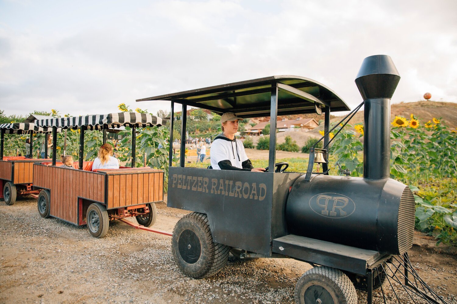 San Diego pumpkin patch at Peltzer Pumpkin Farm in Temecula featuring a train ride for kids