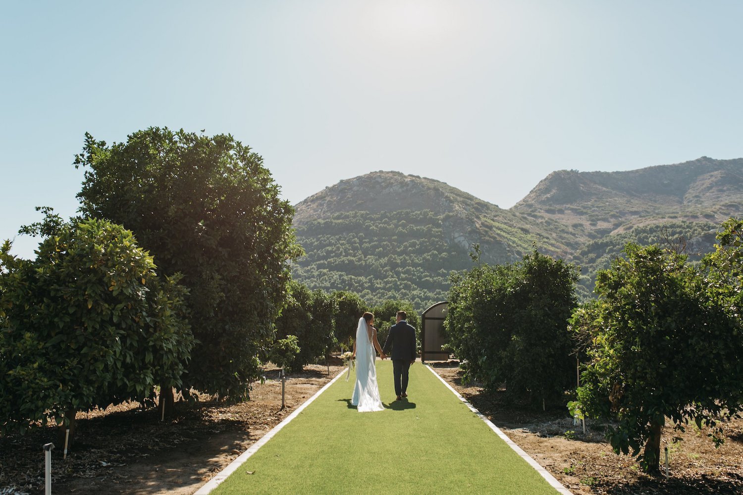 Best San Diego wedding venues featuring Rancho Guejito vineyard and garden