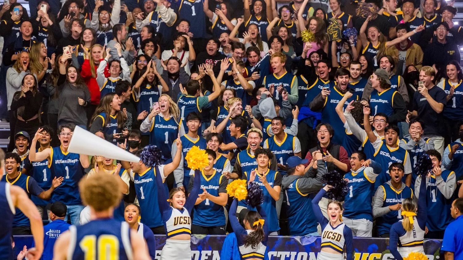 UCSD men's basketball fans cheerign at LionTree Arena