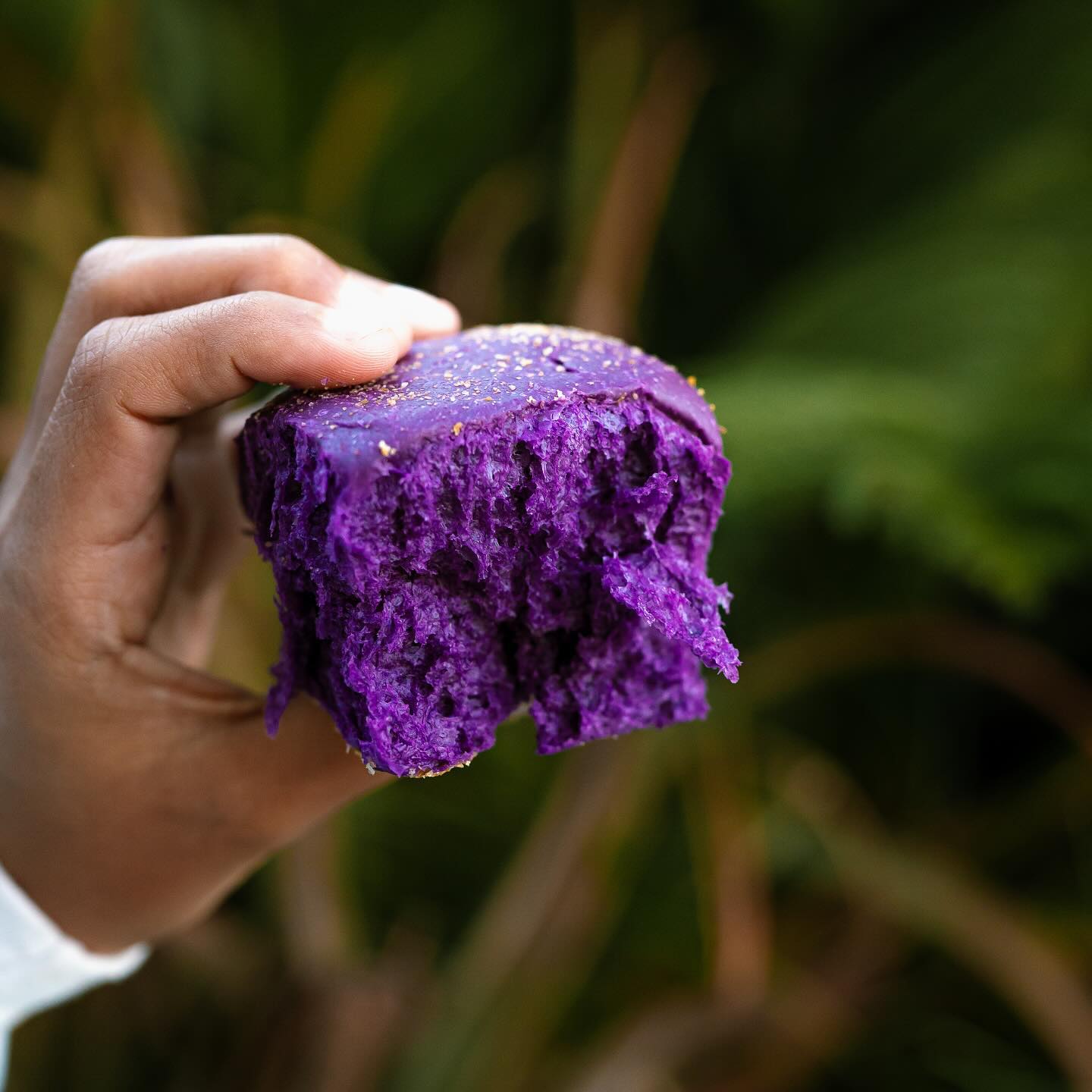 Best Filipino food dishes in San Diego featuring Ube Pandesal from White Rice