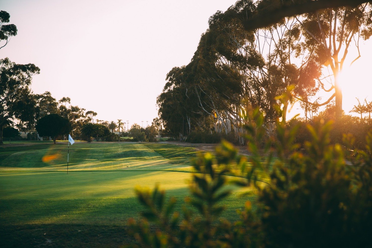 San Diego's best golf courses featuring Goat Hill Park Golf Club in Oceanside