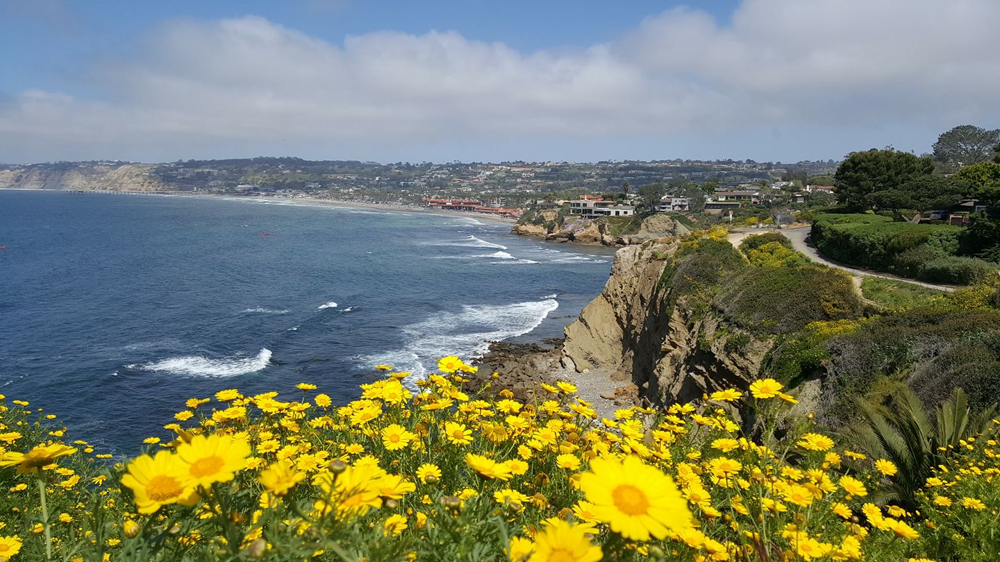 San Diego hikes featuring La Jolla Beach Trail