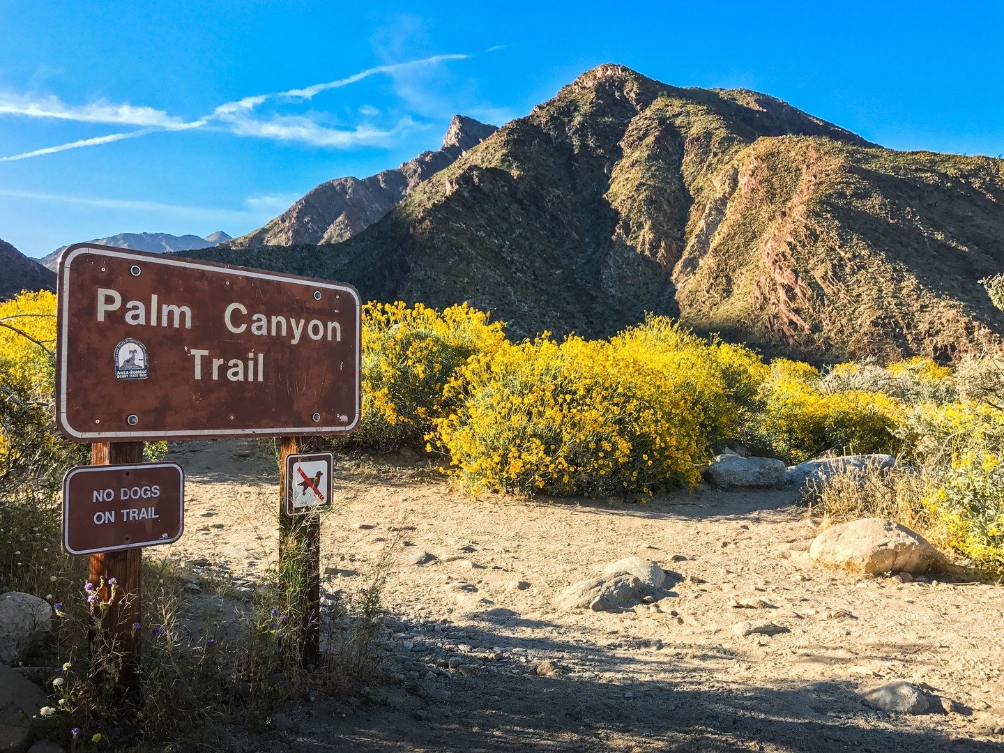 San Diego hiking trail Borrego Palm Canyon Trail in Anza-Borrego Desert State Park