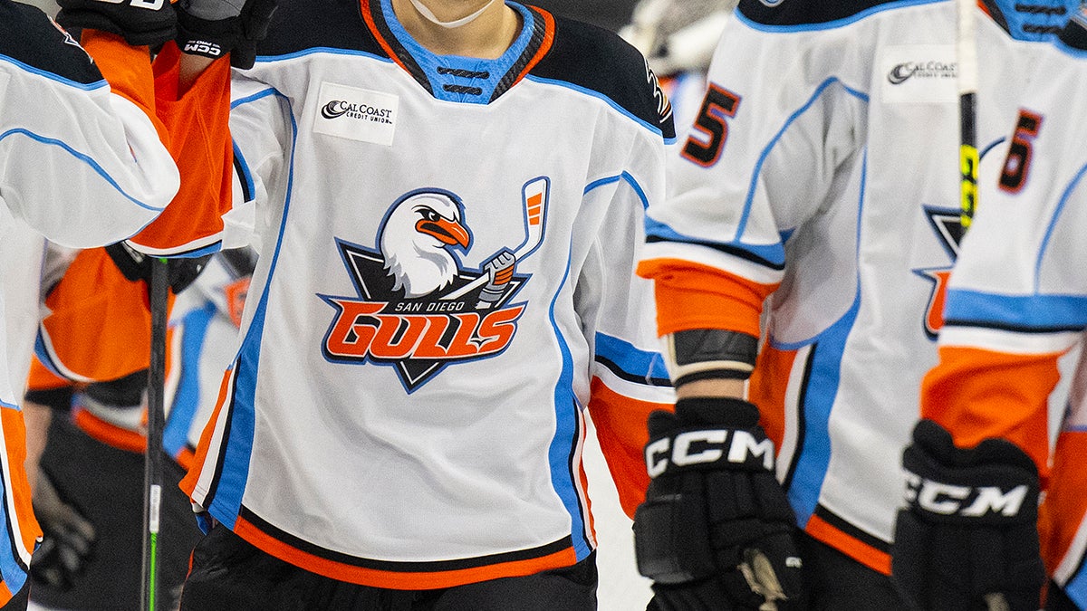 San Diego sporting events to watch this month November 2024, featuring 
San Diego Gulls AHL team 2024-25 season opener