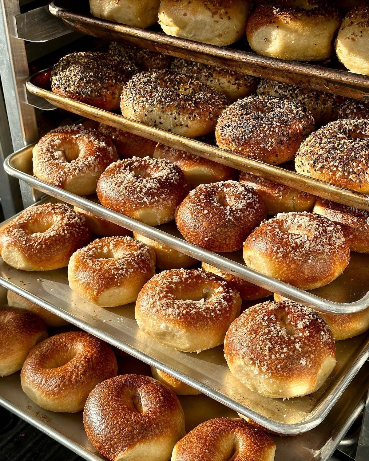 Bagels in an oven at San Diego bagel shop Marigold Bagels opening in North Park