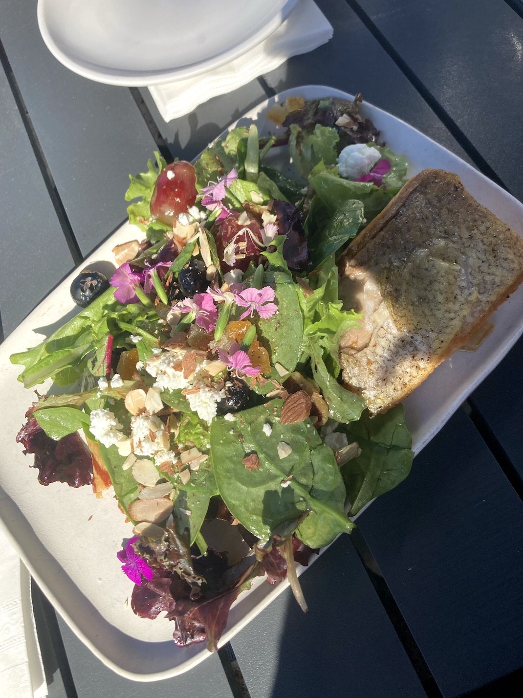 Citrus Otago Salad from rooftop bar and restaurant Kairoa Brewing Company in University Heights