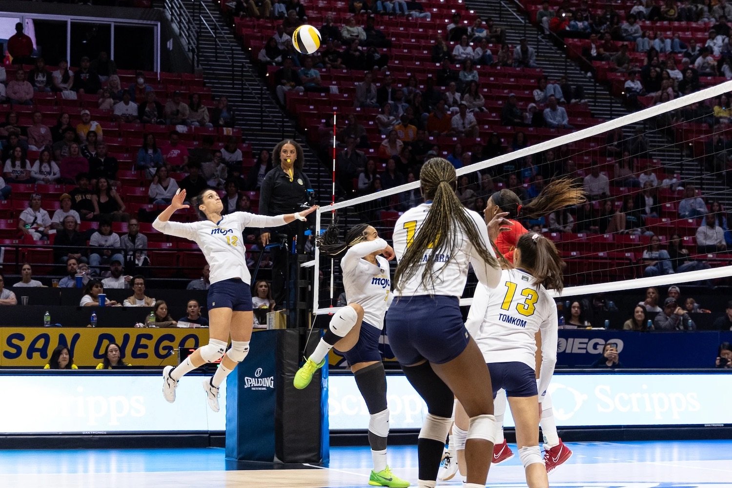 San Diego sports team the San Diego Mojo a pro women's volleyball team that had its inaugural season in 2024