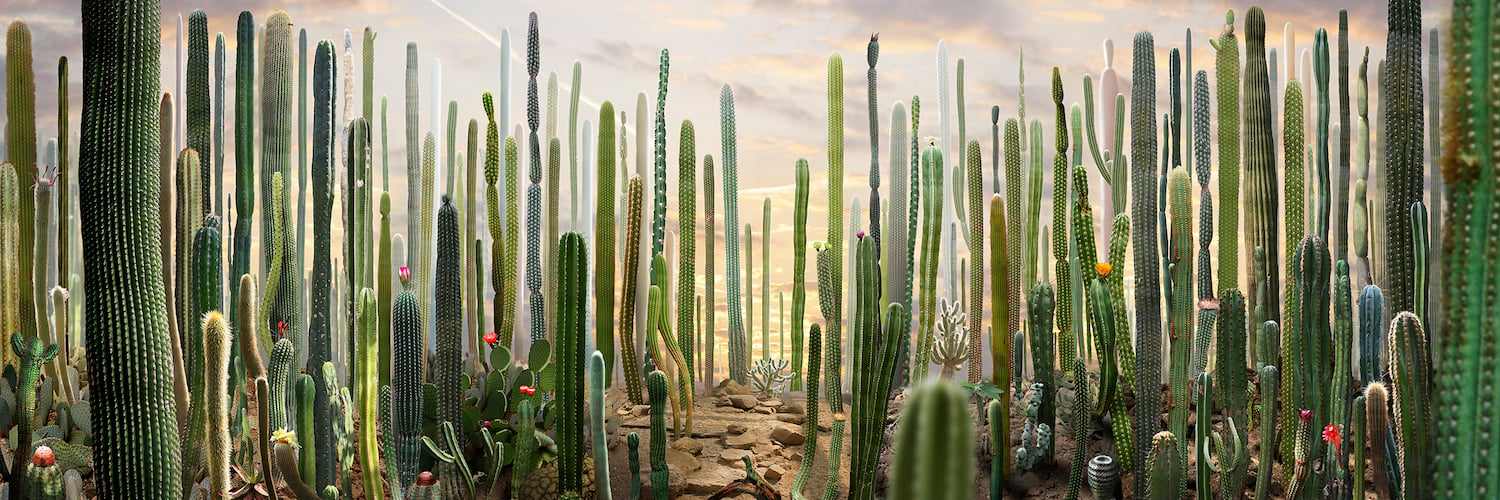 San Diego Upcoming 2025 Art Event  Ruud van Empel: Theater photography exhibit at the San Diego Museum of Art in Balboa Park