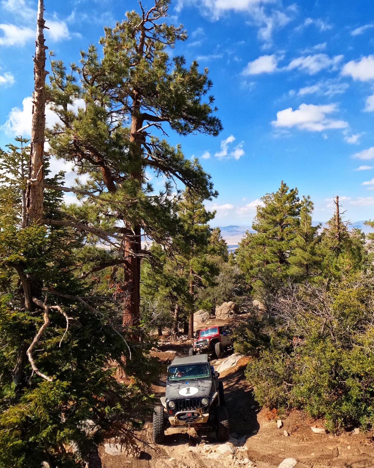 Big Bear Off-Road Experience tours in California featuring a jeep off-roading tour