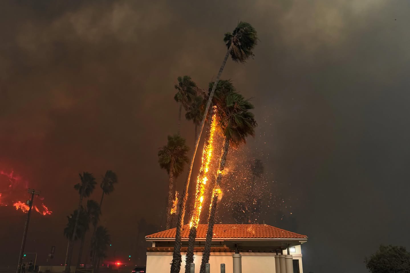 2025 Pacific Palisades fires in Los Angeles