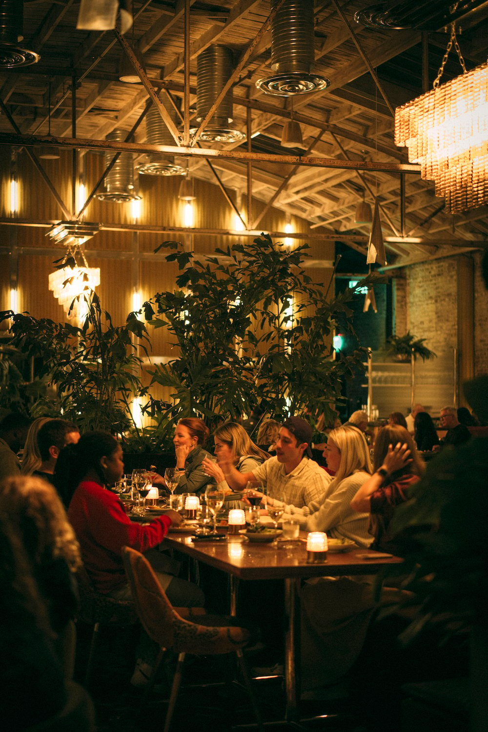 Interior of San Diego French restaurant Le Coq in La Jolla