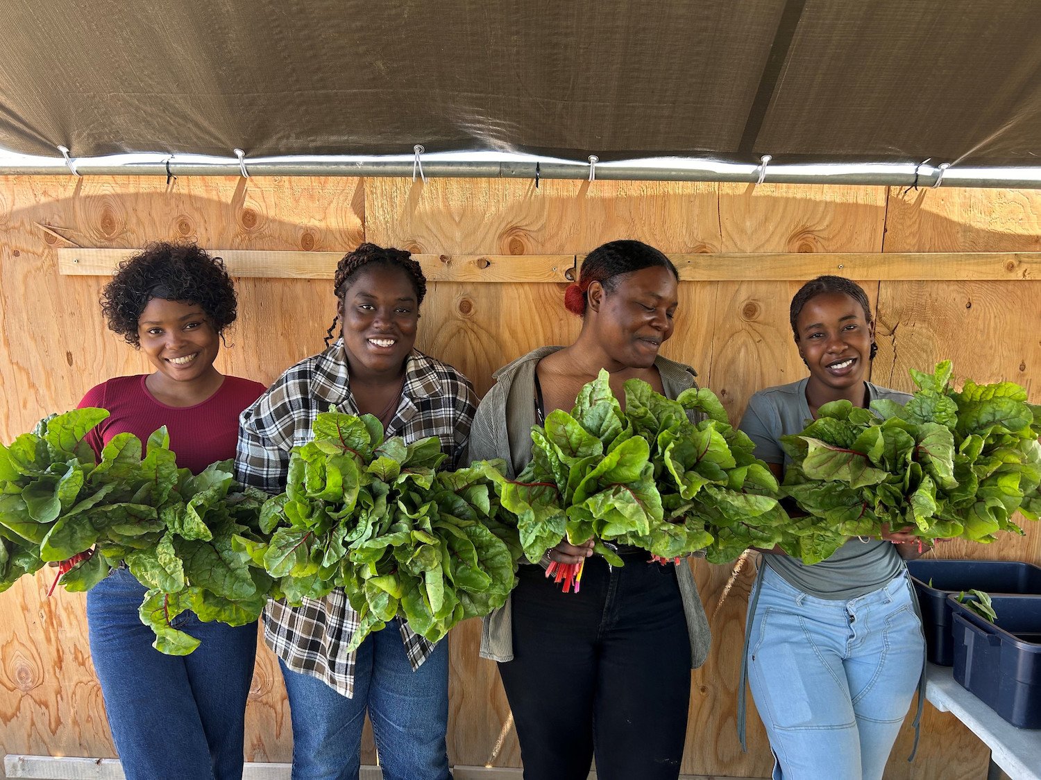 San Diego MAKE Projects' Mission Valley Farm where immigrants and refugees gain experience in the food industry 