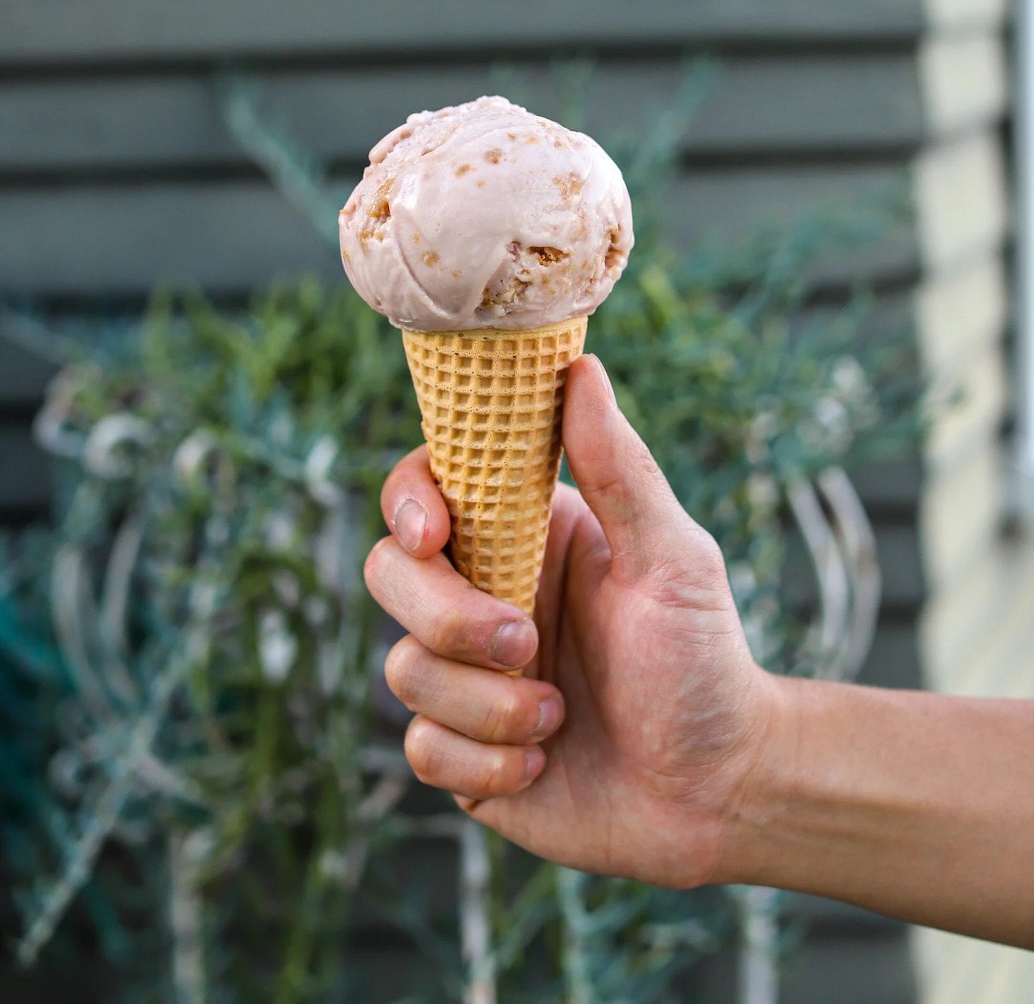 Strawberry Oat Crumble ice cream flavor from Carlsbad shop Stella Jean's Ice Cream