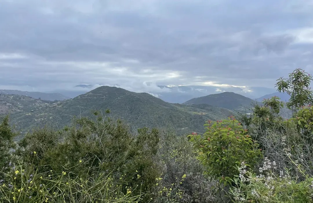 The Monserate Mountain Trail Loop hiking trail in Fallbrook, San Diego 