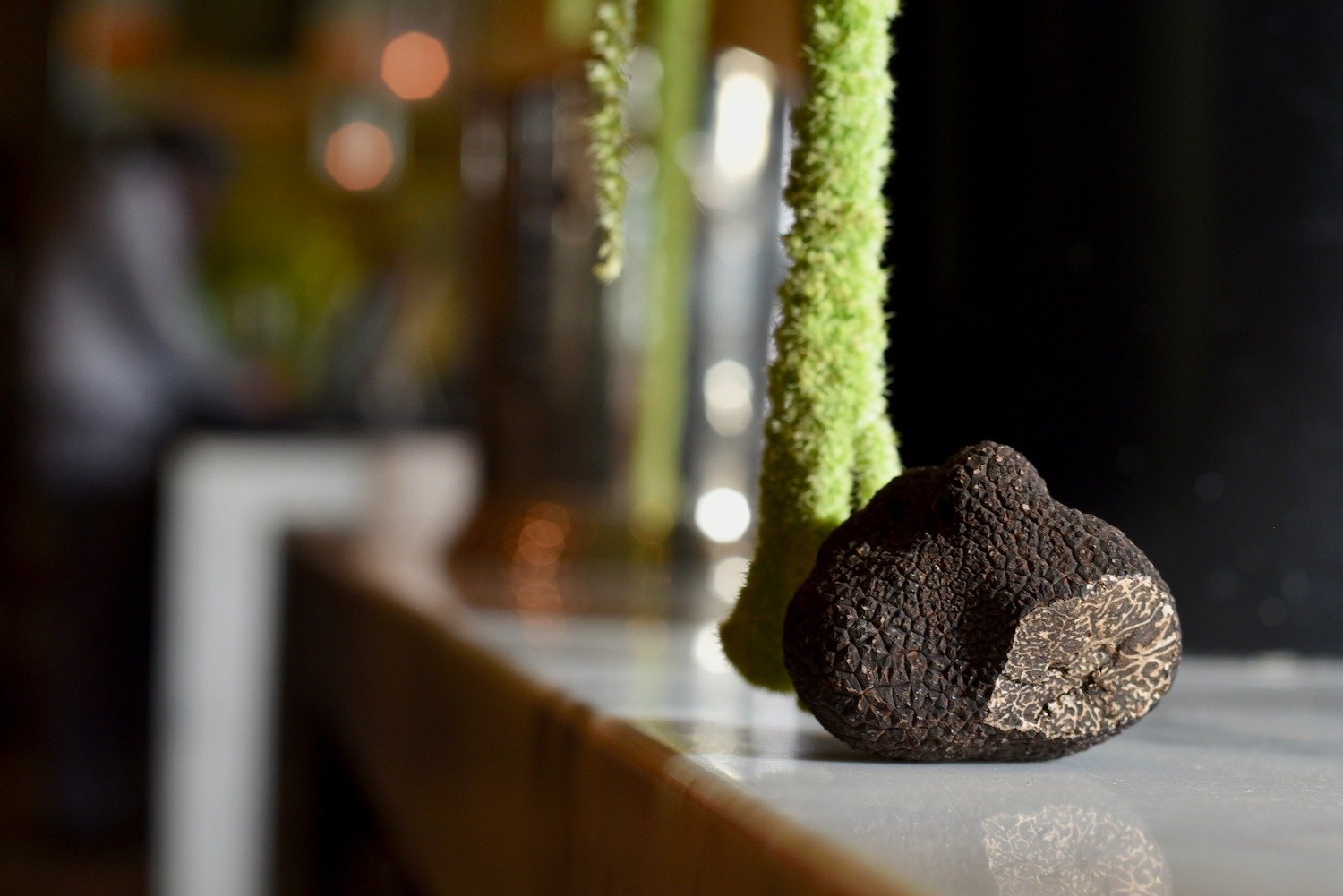 Périgord black truffles from the American Truffle Company known for their Napa Truffle Festival in California