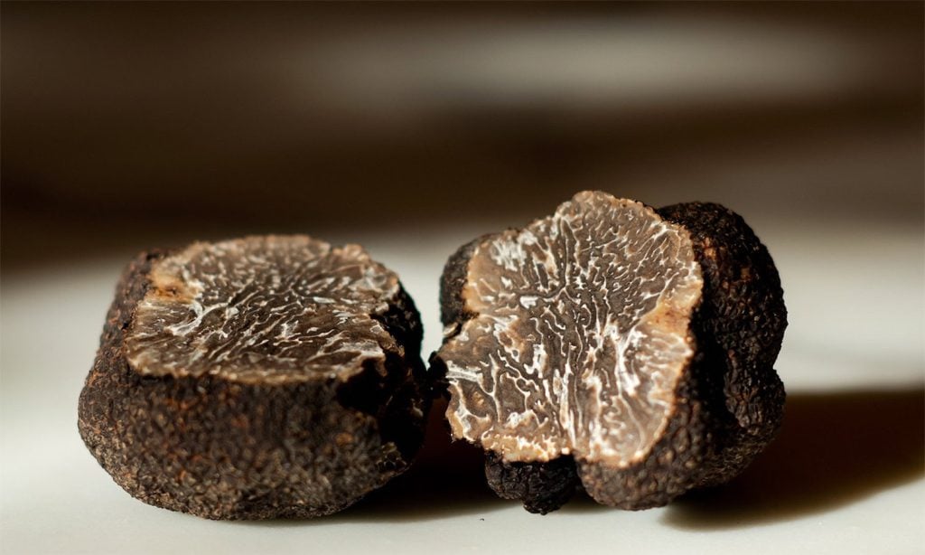 A Weekend at Napa’s Annual Truffle Festival