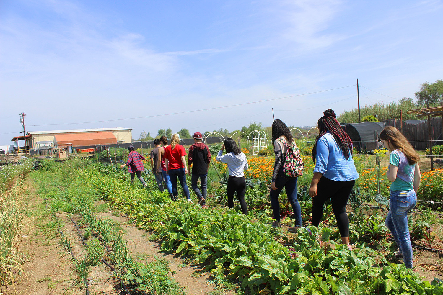 Volunteers at Wild Willow Farm at the Tijuana River Valley