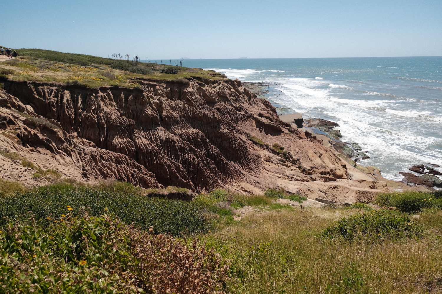 Fun date ideas in San Diego featuring the Cabrillo Tidepools