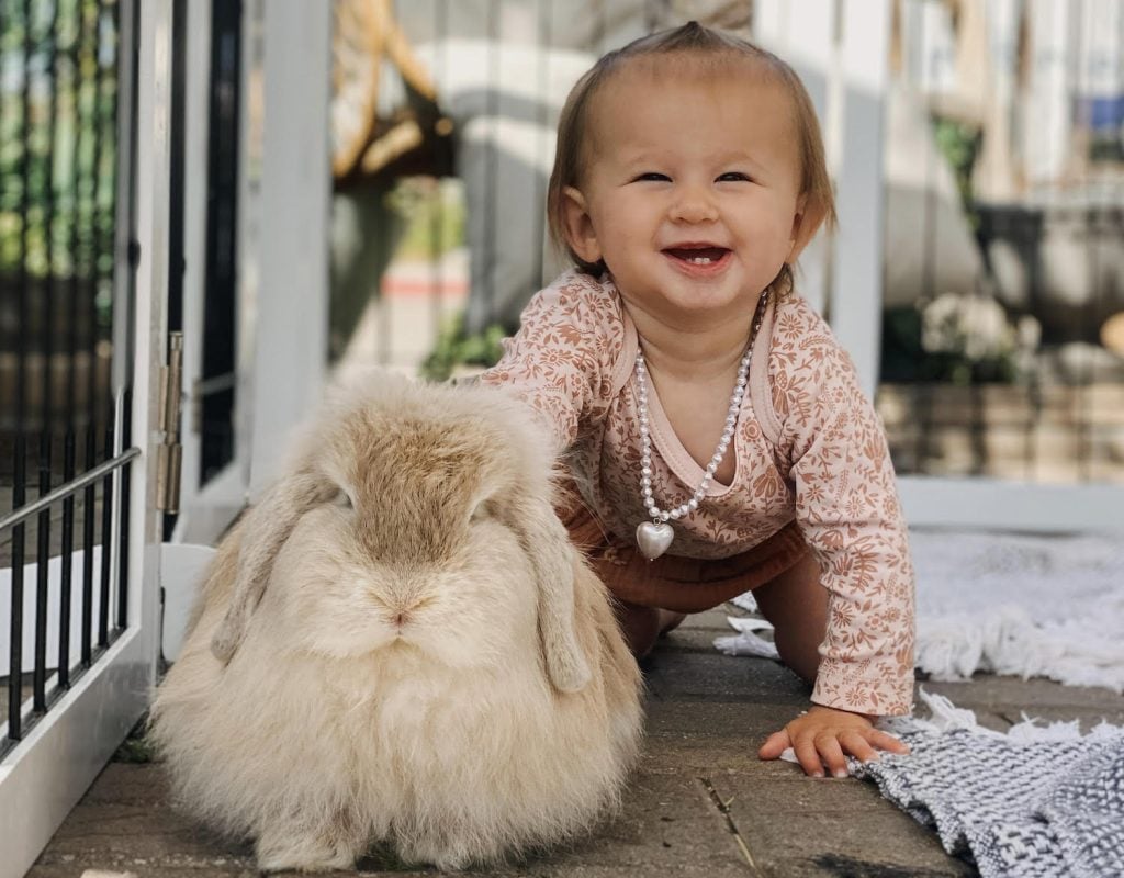 Viral San Diego coffee shop Grange Garden known for the bunny petting zoo in Solana Beach