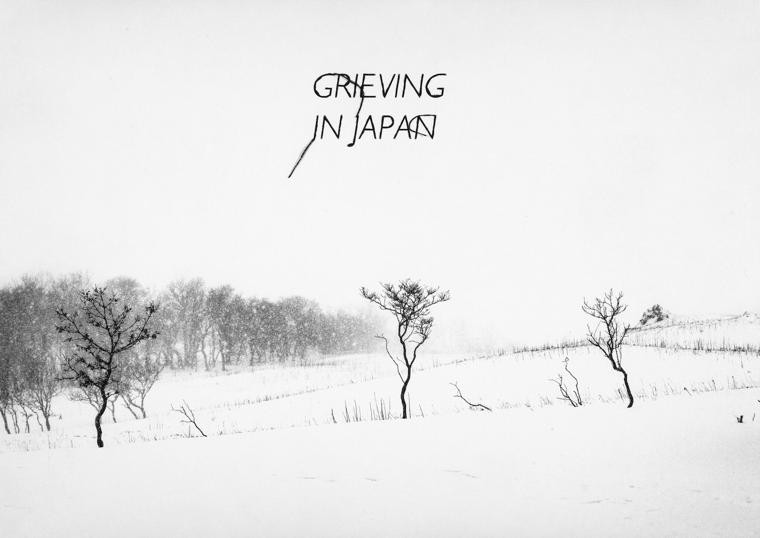 Things to do in San Diego this weekend March 6-9, 2025 featuring art exhibits at The Photographer's Eye called Diana Nicholette Jeon: when stars fell from the sky & Sandra Klein: Grieving in Japan