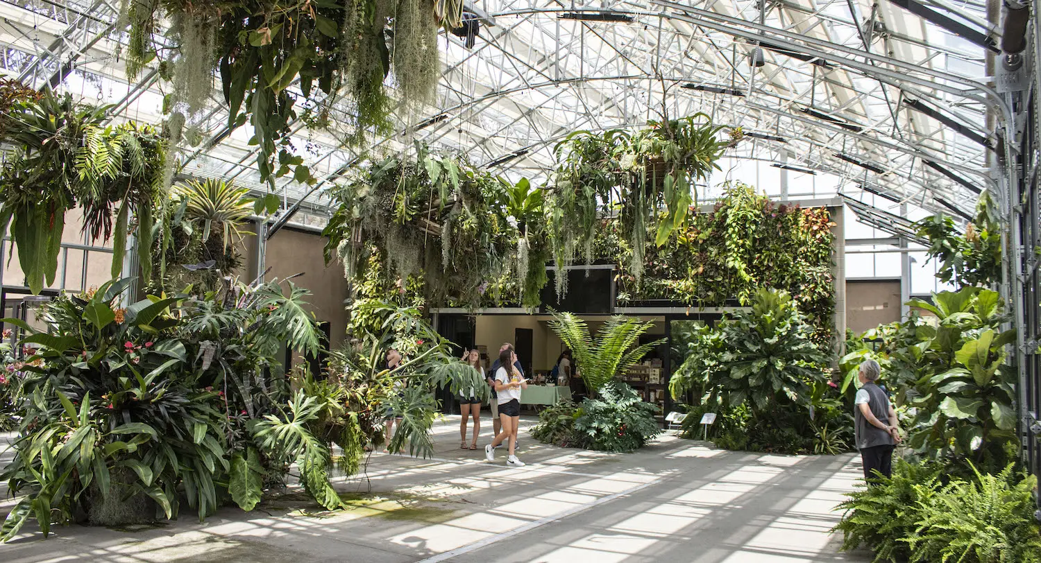 Things to do in Encinitas, CA featuring the San Diego Botanic Graden