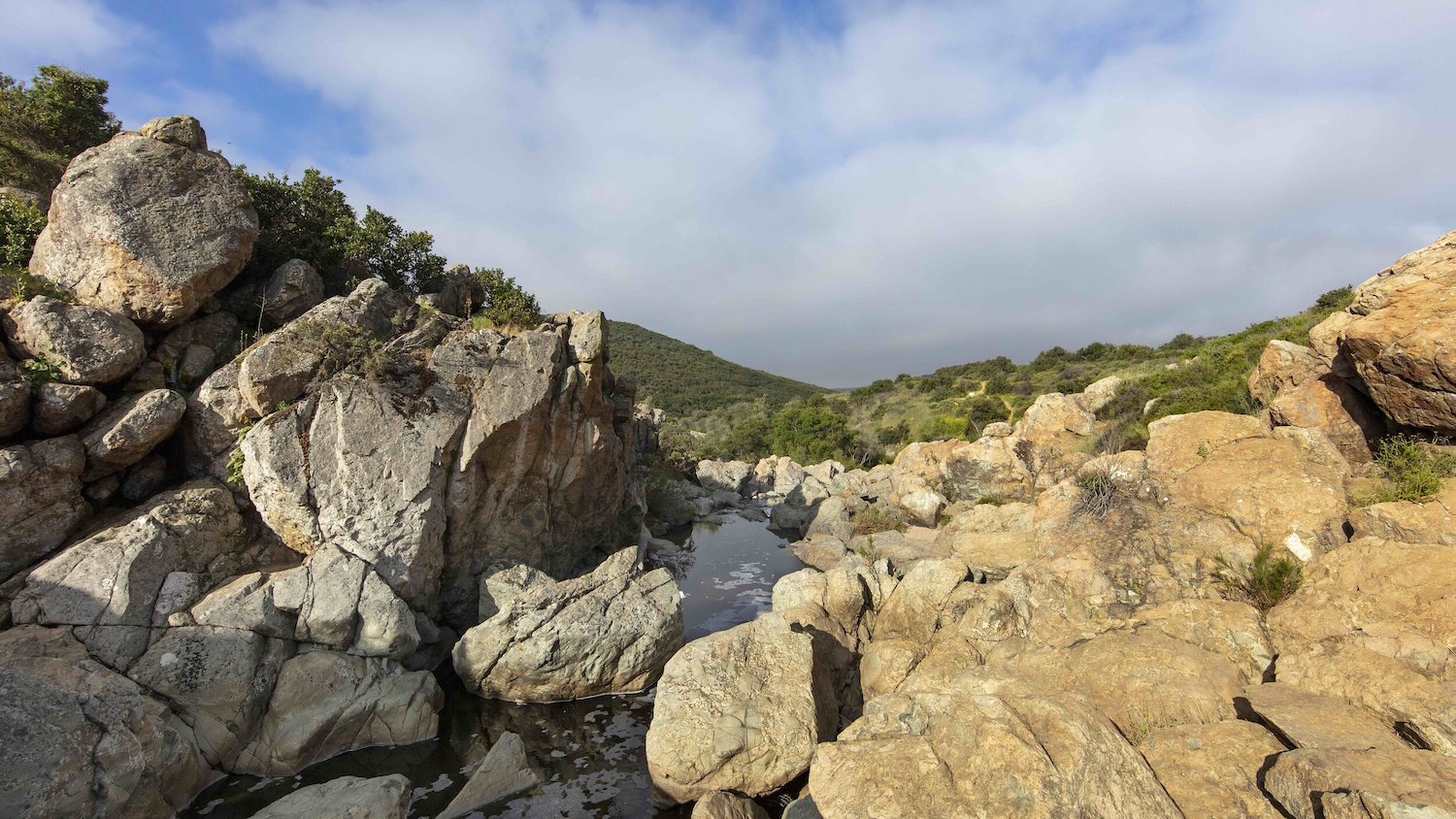 Los Peñasquitos Canyon hiking trail in San Diego 