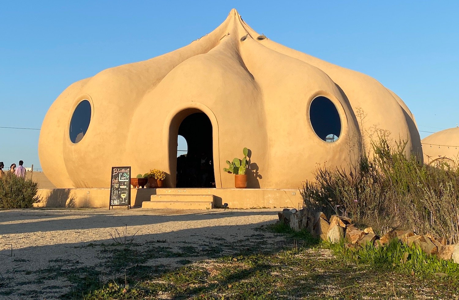 Valle Baja California, Mexico wine bar Bloodlust shaped lake a garlic bulb
